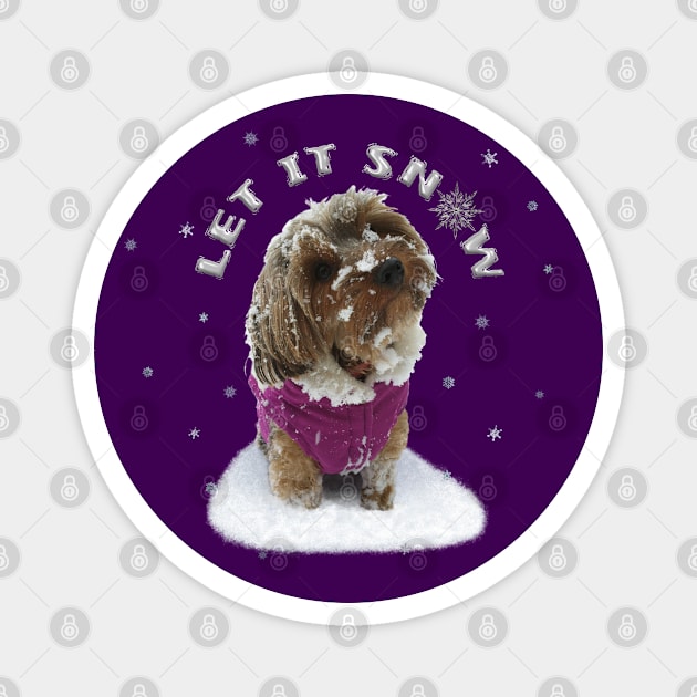 Let it Snow Yorkshire Terrier Dog, Yorkie, in a Coat with Snowflakes Magnet by Deez Pixel Studio